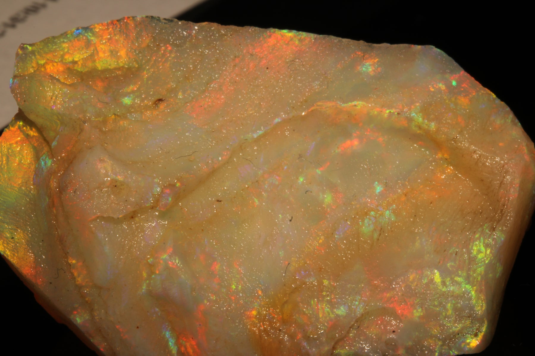 Robust Brazilian Rough Opal – 92 Carats