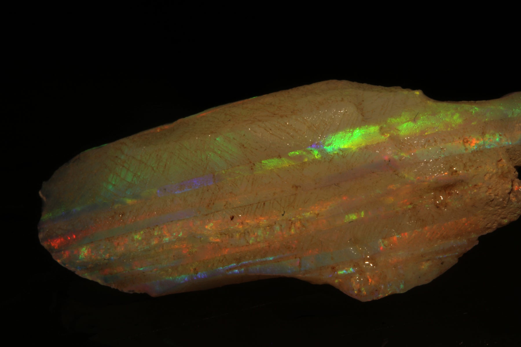 Beautiful Brazilian Rough Opal – 48 Carats