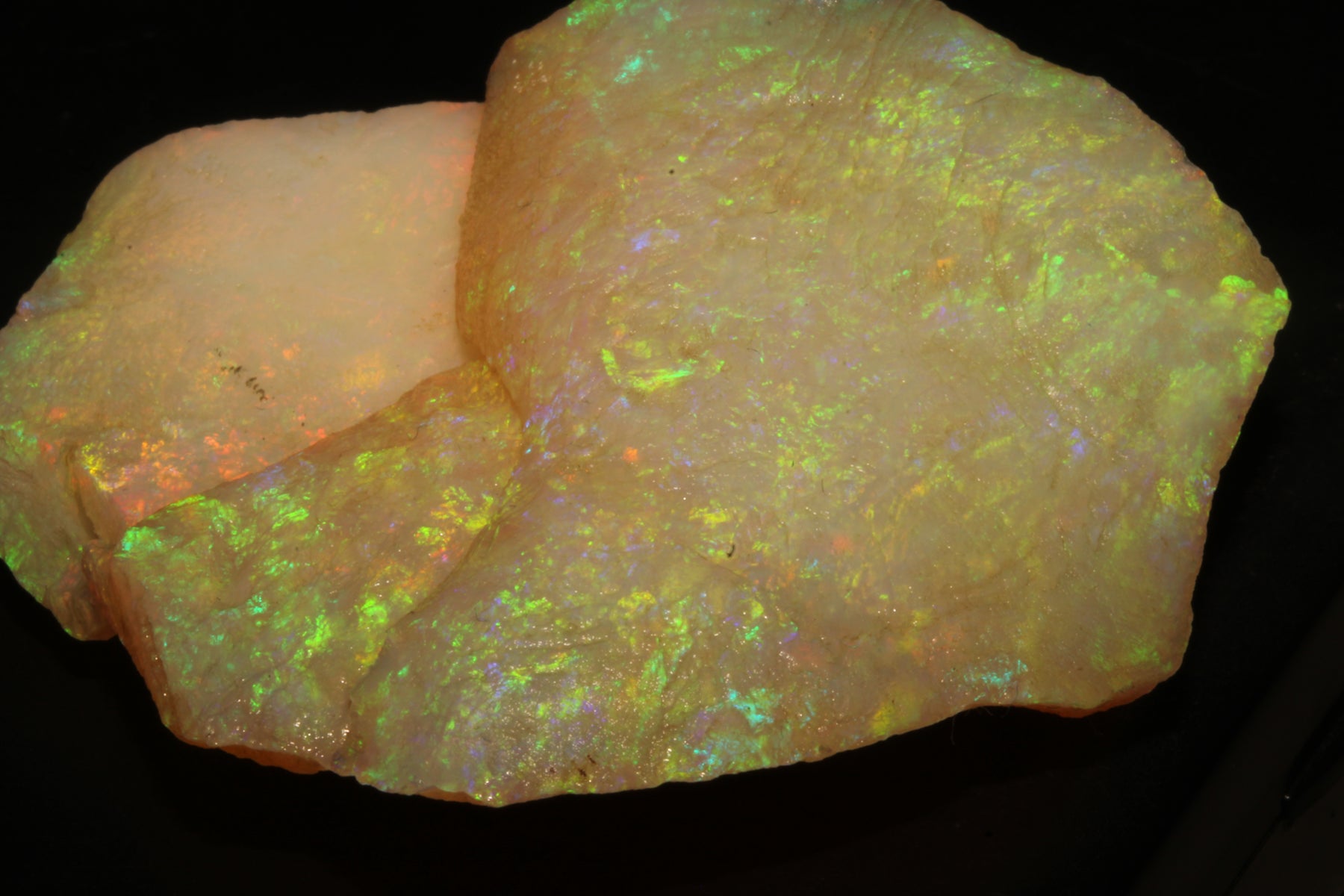 Brazilian Green Opal – Carving Type, 150 Carats